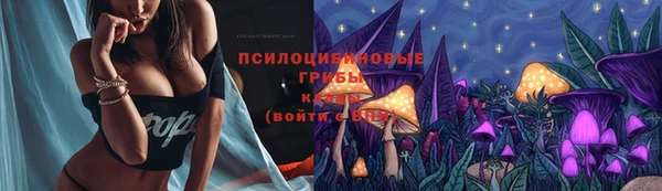 не бодяженный Зеленодольск
